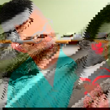 Male Vet holding and looking at a small grey dog