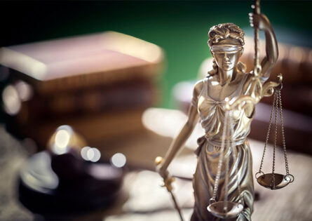 Image of Lady Justice - International Law and Politics